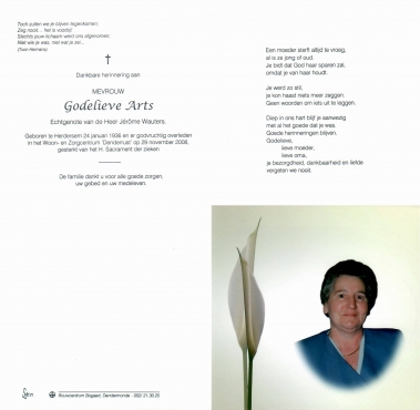 Scan