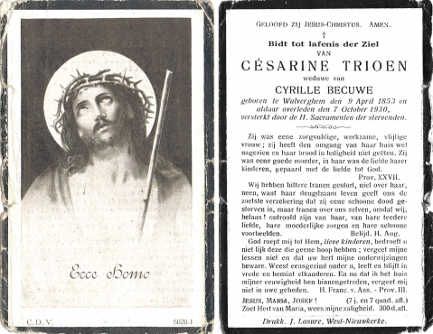 Scan