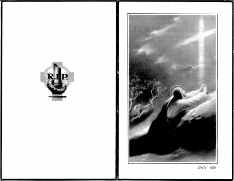 Scan