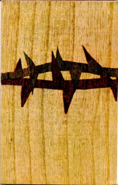 Scan
